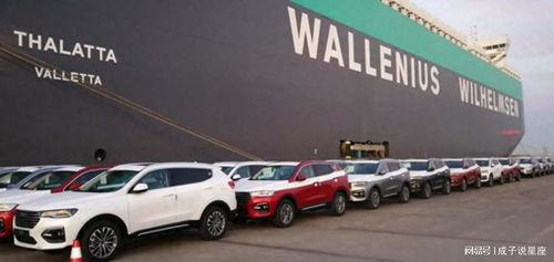 打不贏就制裁 歐盟對(duì)中國(guó)電動(dòng)汽車發(fā)起反補(bǔ)貼調(diào)查, 或加收關(guān)稅